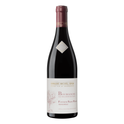Haute C&ocirc;tes de Nuits Monopole Rouge  "Fontaine Saint Martin" 2024 - Michel Gros  75cl