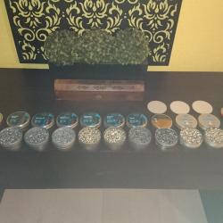 pack de plombs 5.5mm