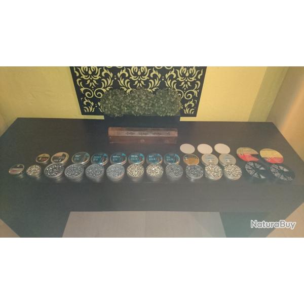 pack de plombs 5.5mm