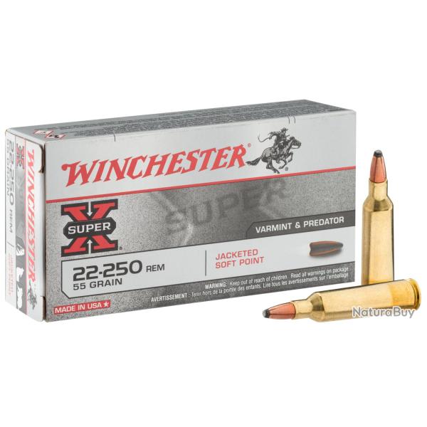 Winchester 22-250 REM Super-X JSP 55 gr (3,6 g)