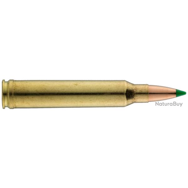 Sologne .300 Win. Mag. Nosler Ballistic Tip 150 gr / 9,7 g Sologne .300 Win Mag Ballistic Tip 150 gr
