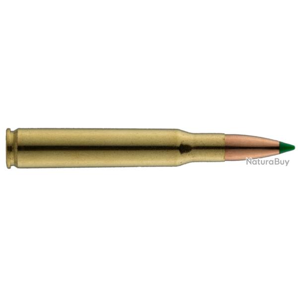 Sologne .30-06 Spring. Ballistic Tip 180 gr / 11,7 g Sologne .30-06 Sprg Ballistic Tip 180 gr / 11.7
