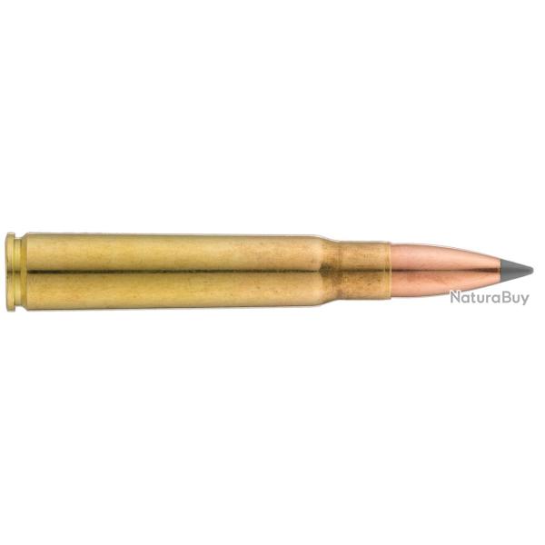 Sologne 8x57 JS Nosler Ballistic Tip 180 gr / 11,7 g 8x57 JS (JRS) Ballistic Tip 180 gr / 11.7 g