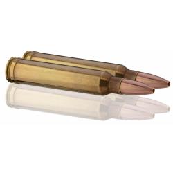 GECO .300 Win. Mag. PLUS 170 gr / 11,0 g .300 Win Mag Plus 170 gr / 11 g