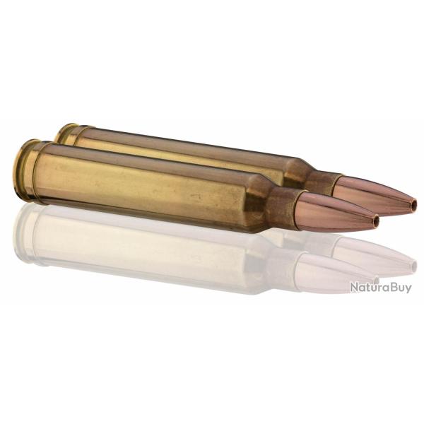 GECO .300 Win. Mag. PLUS 170 gr / 11,0 g .300 Win Mag Plus 170 gr / 11 g