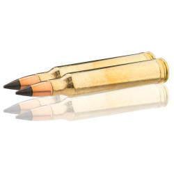 Winchester Extreme Point .300 Win Mag