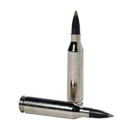 Winchester Ballistic Silvertip .30-06 Springfield 150 gr / 9.7 g Balle BALLIS. SILVertIP GRAIN 150