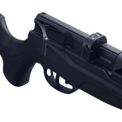 Carabine PCP Beeman Raider 1320