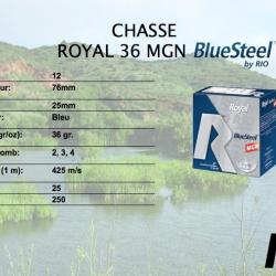 RIO ROYAL BLUE STEEL 12/76 36 GRAMMES PAR 250 3
