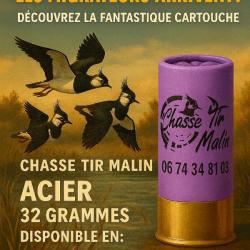 CARTOUCHES ACIER 12/70 32G CHASSE TIR MALIN 8