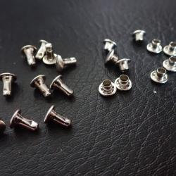 Lot de 10 rivets de fixation couleur alu. Ordonnance suisse