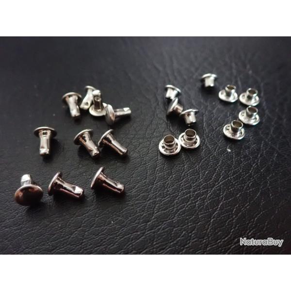Lot de 10 rivets de fixation couleur alu. Ordonnance suisse