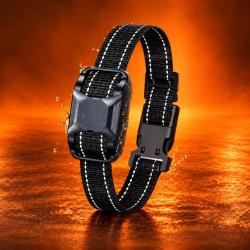 Collier de Dressage RoG T3000
