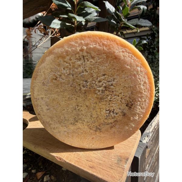 Tomme de brebis corse: U marsulinu 900-950g