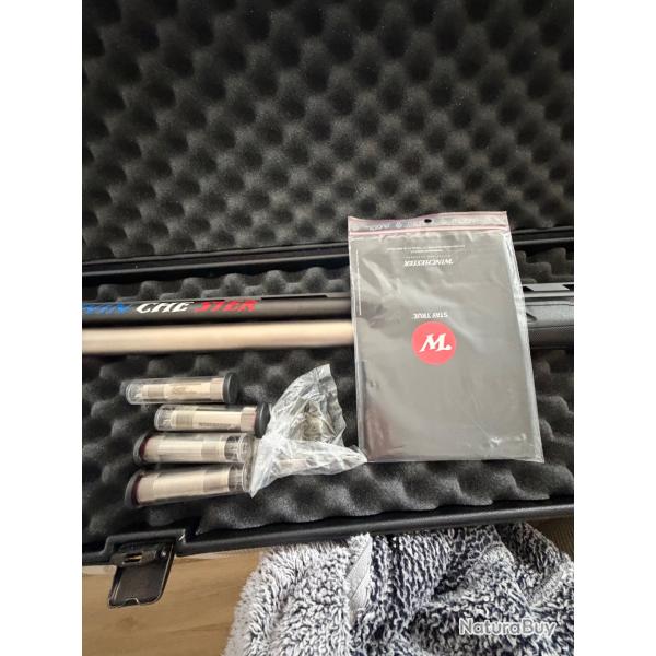 Fusil winchester sx4 raniero testa
