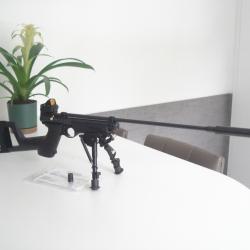 Crosman 2250 Ratcatcher