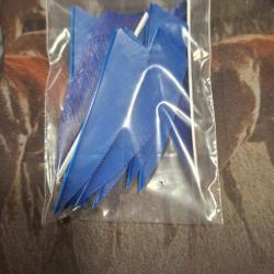 Plumes Shield unies 3" d'occasion par 12 - Bleu