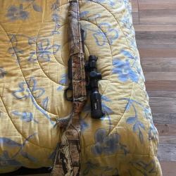 Carabine chronos pietta semi automatique 30/06