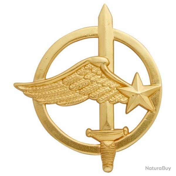 Insigne de b�ret - Commando de l'air