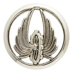 Insigne de b&eacute;ret - Train