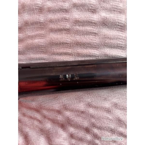 Benelli �volution