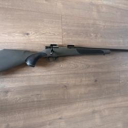 Carabine WEATHERBY VANGUARD SERIES 2 cal 243 w