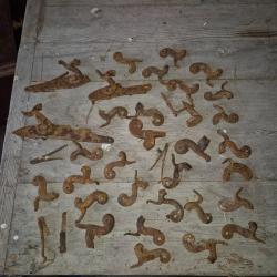 Lot chien de fusils