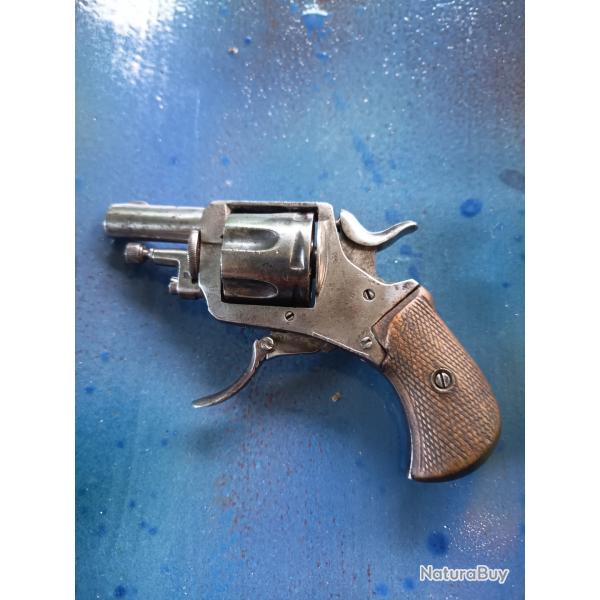 Revolver buldog ou puppy