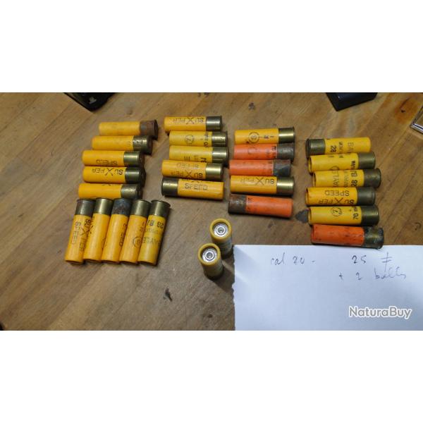 lot de cartouches cal 20
