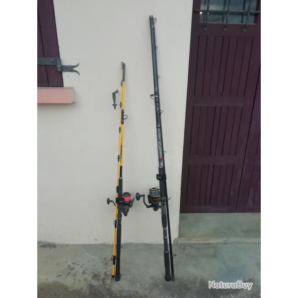 Ensemble Canne � Silure Berkley et Black Cat.