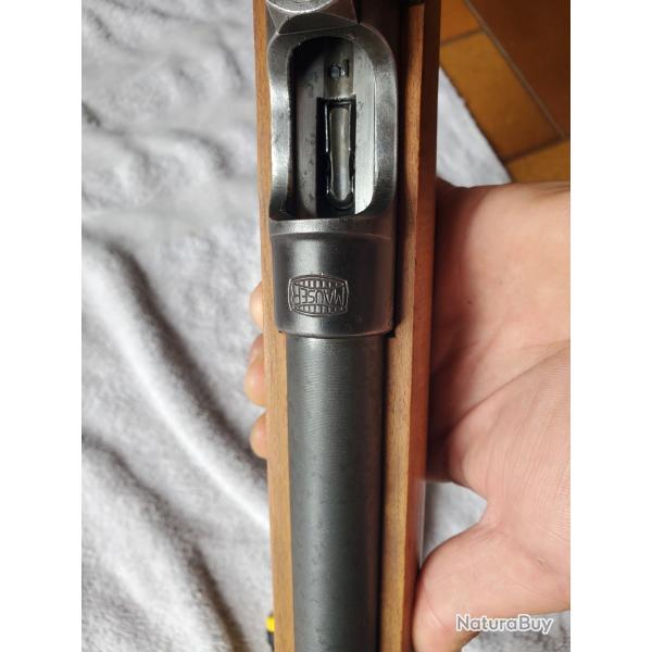 Carabine 22lr mauser 45