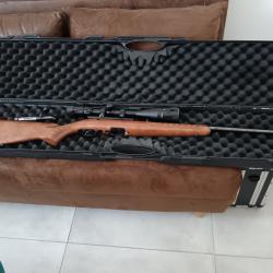 Carabine 22 LR ruger american rifle crosse bois