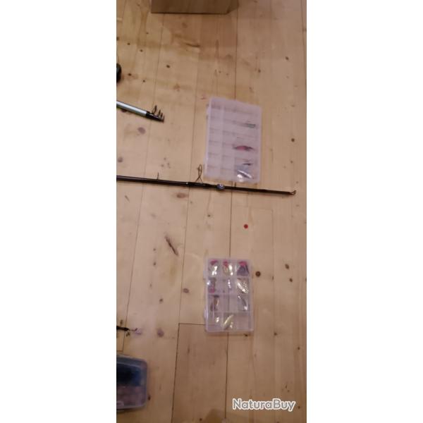 Je vend un lot de cane a peche a 500�
