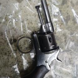 Bulldog 22 short
