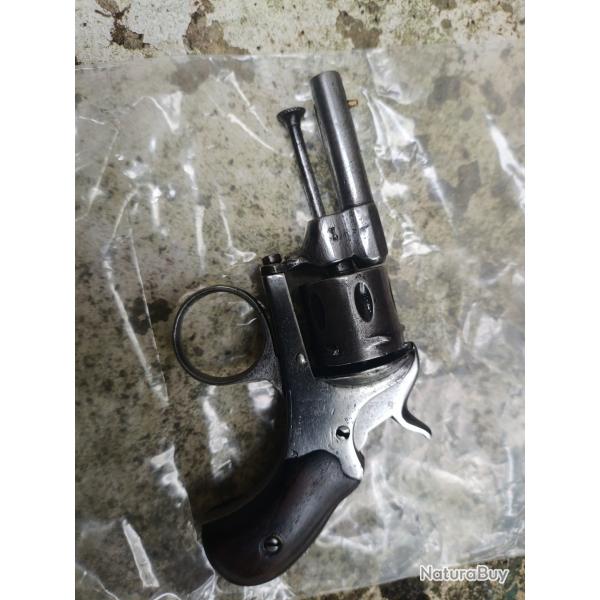 Bulldog 22 short