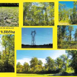 34,9326 ha - FOR&Ecirc;T DU DOMAINE DE LA MOTHE - ( 45 ) LOIRET
