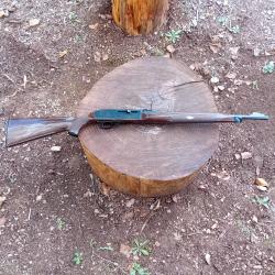 Carabine REMINGTON nylon 66 15 coups (14+1) Tr&egrave;s pr&eacute;cise.