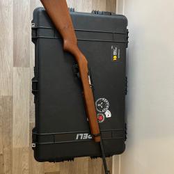 Ruger 10/22