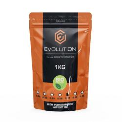 Sachet de 1 Kg de Billes (Evolution Airsoft) 0.30 Oui