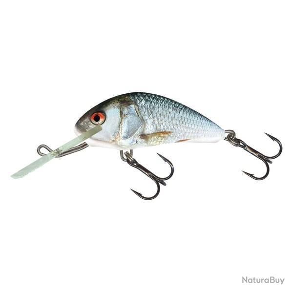 Poisson Nageur Salmo Hornet Floating RD - Real Dace H5F