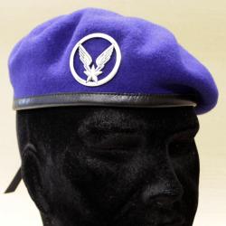 B&eacute;ret ALAT r&eacute;glementaire