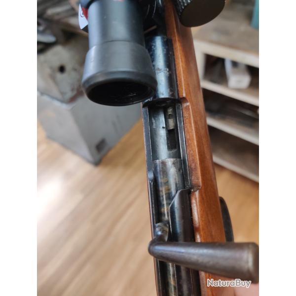 Carabine 22lr avec aimpoint 2000