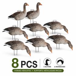 Formes silhouettes d'oies cendr&eacute;es x8 - Pack mixte actives & mangeuses avec supports m&eacute;talliques