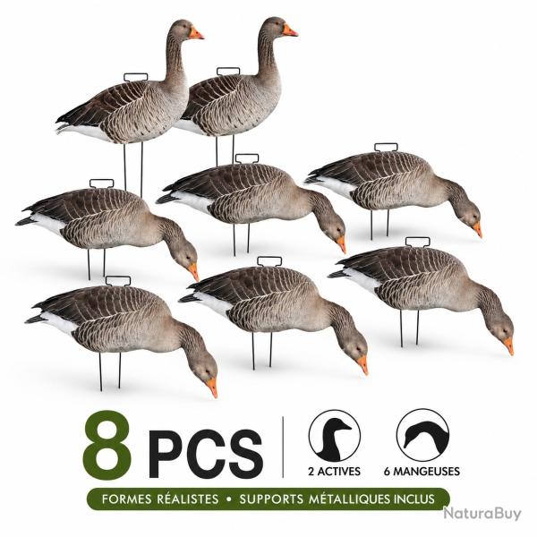 Formes silhouettes d'oies cendr�es x8 - Pack mixte actives & mangeuses avec supports m�talliques