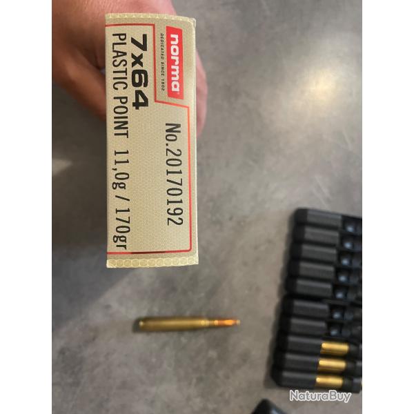 Balles Norma 7x64 plastic point