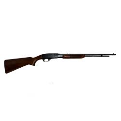 Carabine &agrave; pompe REMINGTON 572 FieldMaster - 22lr