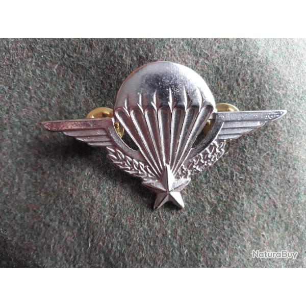 broche pins brevet parachutiste, saut en parachute, chute libre, st michel