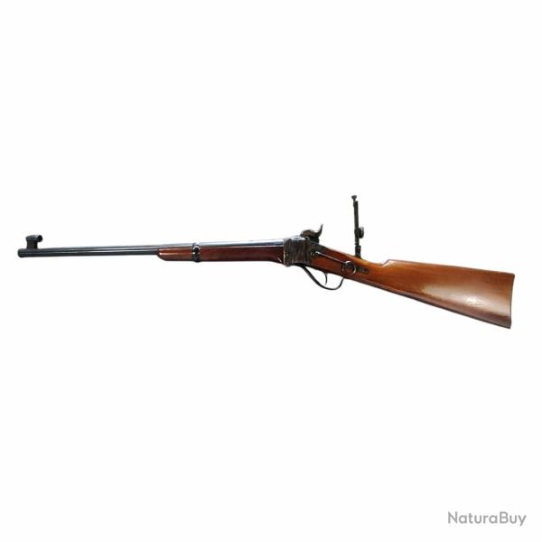 Carabine IAB 1874 Cavalerie Sharps  Cal : 45/70 GOVT Occasion