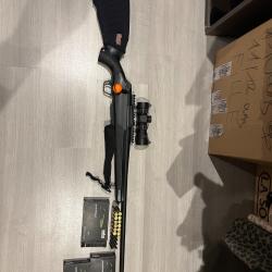 Carabine 270 w