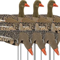 Formes d'oie cendr&eacute;e Sillosock Harvester Pack x12